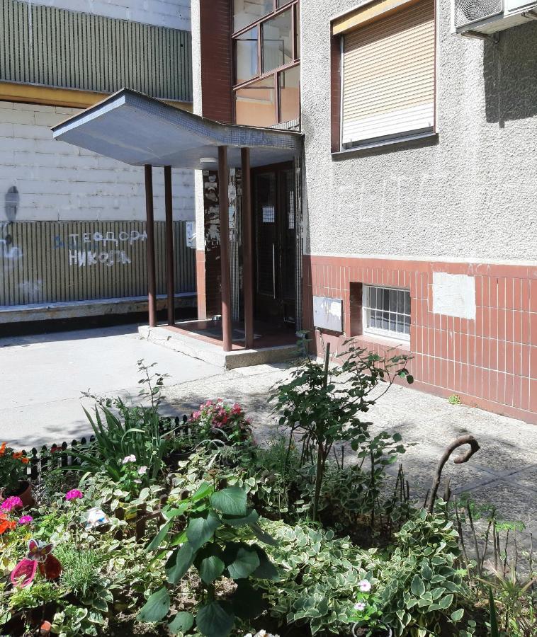 Ada, New Belgrade Apartment Exterior photo